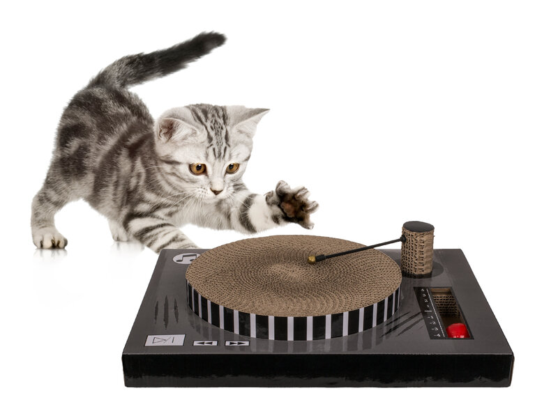 Vinylafspiller Kradsebræt til Kat thumbnail