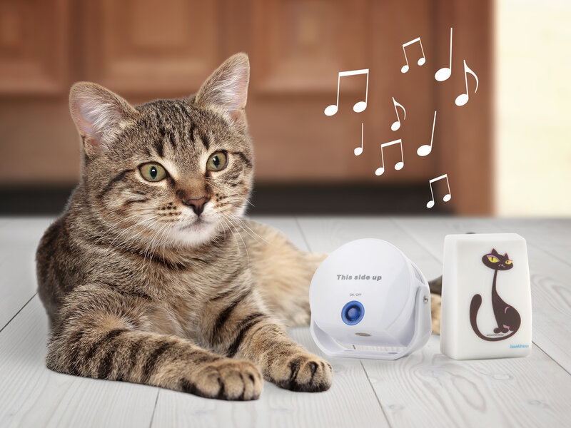Cat DoorBell thumbnail